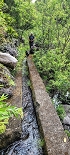 Plants: image 20 Of 208 Thumb